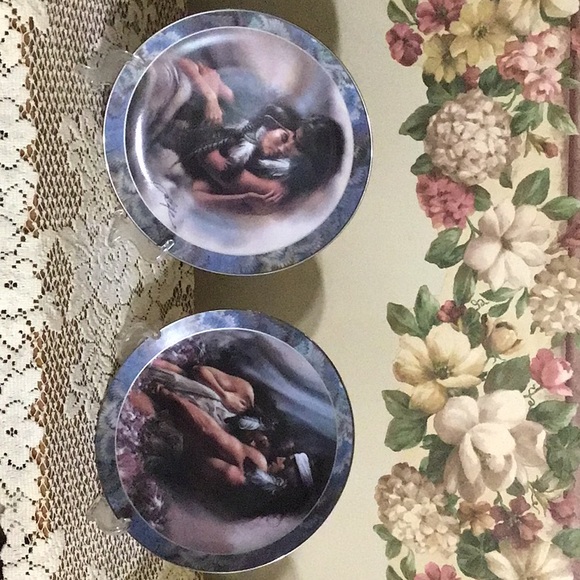 Set of 2 Collectible Plates - Picture 5 of 5